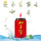 Jiaduobao herbal tea 310ml*24 cans full box of plant herbal drinks that are afraid of getting angry, summer hot pot heat-relieving drinks 24 cans Jiaduobao 310ml is due