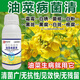 Special pesticide for rapeseed pathogen sclerotinia downy mildew mosaic and white rust 1 bottle*500g