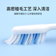 
Frog (FROG) Adult Toothbrush Set 615 Series 6 Packs Medium-Brilled Soft Bristle Toothbrush Applicable to Men and Women Couples