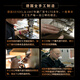 SEYDEL德国进口SEYDEL赛德 十孔10蓝调成人口琴 1847 CLASSIC 10孔D调