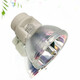和谱森 适用于BENQ明基PL553C/MW535/SP2535S/ED058/TH681/EN9870/SP0531/AX542N/ED8E2全新投影机灯泡 和谱森灯泡（下单请备注型号） PW565