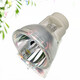 和谱森 适用于BENQ明基PL553C/MW535/SP2535S/ED058/TH681/EN9870/SP0531/AX542N/ED8E2全新投影机灯泡 和谱森灯泡（下单请备注型号） PW565