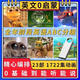 Chuangjingyi wählt Cartoon u Disk TV Kleinkinder Englisch Aufklärung Cartoon U Disk Zero Foundation Lernen Englisch Early Education Englische Literatur Primary A32G