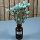 AIMAN Yunnan dried flower bouquet natural real flowers octagonal flower magnolia flower small lily living room decoration soft furnishing matching blue (1 bouquet of 30 flowers free of charge)