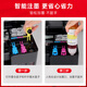 臻印彩适用佳能G2870 G3870 G3871 G3872 3831 3880 G4891打印机墨盒墨水 【GI-81蓝色-70ml】约6000页