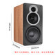 Ganador AD-99D Multifuncional Super A Fiebre Digital Bluetooth Hifi Amplificador Paquete 7: Emparejado con flauta infantil C8