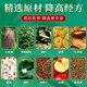 北京同仁堂内廷上用青钱柳桑叶茶搭血糖血高可搭配玉米须菊花茶牛蒡根组合茶饮内廷上用 【10盒装】家庭装（5盒的价钱）