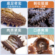 Tongrentang Sea Cucumber Dalian Ready-to-Eat Sea Cucumber Ready-to-eat Liao Cucumber 1Jin Jin is equal to 0.5kg 10 pieces solid 100% ready-to-eat bagged seafood