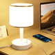 
Yanaijie LED decorative desk lamp socket integrated simple modern home bedroom remote control bedside table light ins internet celebrity night light 688 white USB model with dual USB 0.8 meters