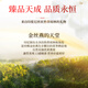 Beijing Tongrentang Instant Bird's Nest 40g*15 bottles*2 Solid content 70% Gifts for girlfriends and elders
