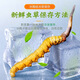 [Tibet Straight Hair] Authentic First Fresh Cordyceps 2025 Selected High Altitude Fresh Cordyceps SF Cold Chain 0.4-0.5gSpecifications 100 Roots
