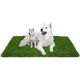Guanxiang bird dog peeing toilet fake lawn pet peeing fake turf simulated lawn mat urinating carpet floor mat 20mm antibacterial high-efficiency urine grass 50cm*60cm