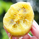 Chunguo Yimu Yellow Heart Kiwi Golden Kiwi Golden Kiwi Fresh Fruit Fresh Fruit 12 Selected Fruit Single Fruit 70-110g