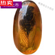 SNQP high-end quality amber insect specimens, artificial amber true cicada specimen pendants, hand-held insect amber centipedes