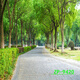 山头林村ARILL主播背景布3D立体网红直播间背景山水户外风景背景布 ZP-10975 3米宽+2.5米高