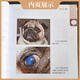 Beinong Sunshine Liberstore Guide rapide pour chien et chats Eye Science Pites PET des chiens et chats en ophtalmologie vétérinaire petits animaux plus de 1 300 images de couleur HD Un manuel de traitement simple et facile à comprendre pour les maladies pour les chiens et les chats