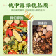 Nantong Sihai Nanjing Tongrentang Dendrobium Doppelballon Chrysantheme Lycium Cassia Tee Schutz Lebergesundheit Tee Heiße Tee -Taschen in Wasser getränkt