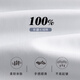 Shanshan [DP Free Ironing] 80 Coton Pure Coton à manches longues pour hommes Casual Stripes décontractées