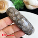 Bindao Coral Jade Bracelet Натуральный хризантемный каменный нефритовый браслет 62 мм естественный хрустальный этнический подарок 6231