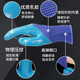 Applicable wear-resistant gloves, labor protection belt, latex, waterproof, oil-resistant, anti-slip, labor work site dry rubber, wear-resistant king A698 finger hanging model (24 pairs) L