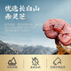 
Renhe Breaking Wall Ganoderma lucidum spore powder High-concentration Sanmu Changbaishan Ganoderma lucidum spore powder Middle-aged and elderly nourishing health products to enhance immune visits and give gift bags 2 boxes * 60 bags/60g [gift bags]