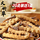Cordyceps sinensis Snow Mountain Natural Cordyceps Sinensis große gebrochene Cordyceps Sinensis essen großes gebrochenes Gras und erschwingliche Suppe und kauen 50 Gramm Cordyceps sinensis großes gebrochenes Gras (56 Gramm Pack)
