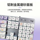 Logitech [Little Rabbit Purple] K845 mechanical keyboard Gaming keyboard Office keyboard Full size Office and home backlight e-sports chicken keyboard MOA height ball keycap K845-Blue axis-Little Rabbit Purple+G102 wired mouse black