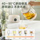 SUPOR 1L Mini Health Cup Health Kettle Tea Maker 316L Stainless Steel Office Home Portable Tea Kettle Constant Temperature Kettle Small Flower Tea Kettle SW-10Y04