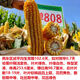 North China corn seed Yudan 808 corn seed high yield big cob corn seed with uniform ear length red shaft dent corn Yudan 808 (about 4400 grains about 3Jin Jin equals 0.5kg) North China planting