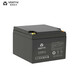 维谛/艾默生铅酸免维护铅酸蓄电池U12V380L/A(12V100Ah)UPS EPS U12V830L/A(12V250Ah)