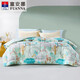 Fu'anna Home Textiles Quilt Core Antibacterial с семи отверстием волокна теплый четыре сезона Студент Студент Одеярь из семи отверстия антибактериального стеганого стеганого одеяла 1,5 м, подходящее для (203*229 см)