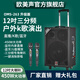 European and American sound 263 outdoor audio karaoke special all-in-one machine with sound card professional three-way singing high-power portable square dance Bluetooth trolley speaker with wireless microphone 12 inches 12 inches/263+2 microphones + spree