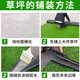 Back to the Sen simulation lawn artificial carpet fake turf mat outdoor artificial green decoration football field kindergarten construction site fence 2 cm spring grass standard 10 square meters