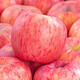 Shawo Shuguang Shaanxi Luochuan Red Fuji Apple Fruit Fresh Crispy Sweet Rock Candy Heart Seasonal Ugly Apple Fruit Fresh Preferred 4.5 Jin [Jin equals 0.5 kg] Pack 70-80mm