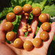 Jiang Jinyue’s authentic dragon blood golden silk bamboo bracelet Plum Blossom Bamboo Buddha Beads Handmade Rosary Beads Small Leaf Red Sandalwood Hainan Huanghuali SN841 2.0-12 pills