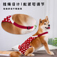 DOGSTORY Dog Physical Pants Bitch Female Dog Aunt Pants Safety Pants Hygiene Pants Anti-harassment during menstruation Shiba Inu Teddy Anti-mating Wine-red strap Physical Pants + Upgrade Pad 30 Pieces L-size suitable for 15-25Jin [Jin equals 0.5 kg]