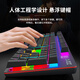 黑爵AK687机械键盘鼠标套装游戏电竞有线无线青茶轴男生104电脑男 白色冰蓝光104键(无线2.4G+有 标配 红轴
