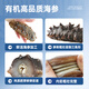 Shangpintang Dalian organic ready-to-eat sea cucumber 1 Jin Jin is equal to 0.5 kg 15-20 individually packed ready-to-eat Liao sea cucumbers