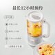 Bear Mini Health Cup Health Kettle Tea Maker 316 Stainless Steel Office Home Portable Tea Kettle Constant Temperature Kettle Small Flower Tea Kettle 0.6 Liter YSH-E06H1