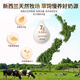 
GLGFAS imported Globe C ball immunoglobulin capsules for human body to improve immunity and enhance resistance 90 capsules/bottle 2 bottles [supplementary nutrition]