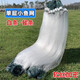 Yuxige fishing net, small fish net, white strip net, sticky fish net, single layer net, fine meal strip fish net, wire net, catching fish net, fishing net, dipped fish net, single layer sinking net, 1.2 meters high, 25 meters long, 1 finger