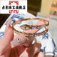 Red Shadow Gold Electroplated Zircon Snake Bracelet Women's Light Luxurious Full Diamond Snake Bone Spirit Snake Bracelet Copper Combined Chinese Valentine's Day Gift