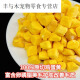 New Chongzhikang Dog Snacks Egg Yolk Granules Teddy Pomeranian Golden Retriever Freeze-Dried Pet Mix Rice Food Freeze-Dried Raw Cut Egg Yolk Granules (100% Pure Egg Yolk) 250g [Net Weight]