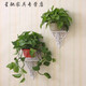 Ancient Fan Maple wall hanging pothos flower rack wall storage rack wall hanging no punching bedroom wall partition living room wall decoration shelf