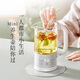 Bear Mini Health Cup Health Kettle Tea Maker 316 Stainless Steel Office Home Portable Tea Kettle Constant Temperature Kettle Small Flower Tea Kettle 0.6 Liter YSH-E06H1
