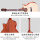 TRUMON楚门280TF亮光吉他 1955TFL海豚物语进阶全单吉他 520TF落樱吉他 海豚物语尖缺角1955TFL 41英寸原生款