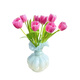 Sweet and Romantic Domestic Tulips 10 Random Colors