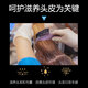 BAILUHUICOCO Shampoo Perfume Flavor Oil Control Cleansing Fluffy Long-lasting Fragrant Shampoo Male and Women 800ml