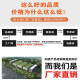 画测现代简约玄关装饰画轻奢入户走廊过道墙壁画新中式九鱼图玄幻挂画 JD9710 70*145晶瓷画铝合金黑框金框备注