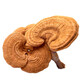 Qin Dingtai purple Ganoderma lucidum pruning Changbai Mountain Ganoderma lucidum natural red Ganoderma lucidum deep mountains basswood Linzhi soaked in wine and soup purple zhi wood linden red Ganoderma lucidum / Changbai Mountain direct hair 200 grams
